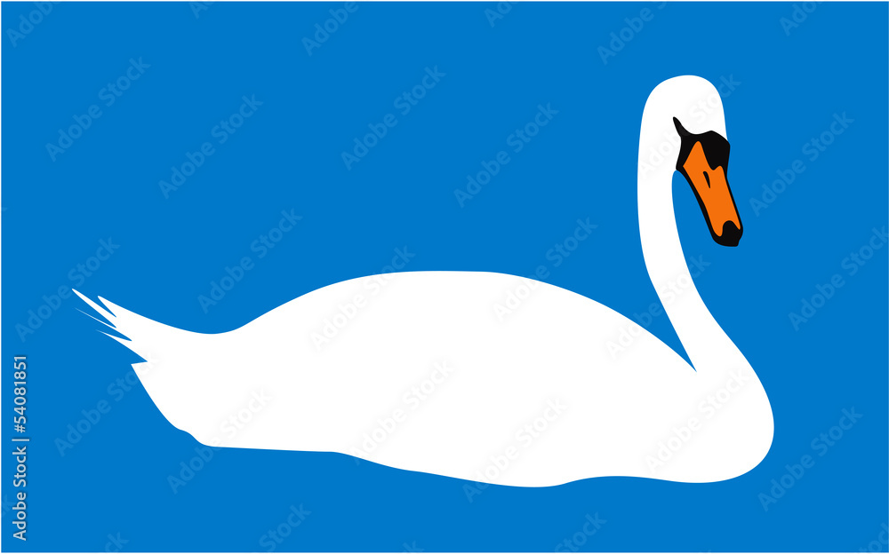 Fototapeta premium White swan