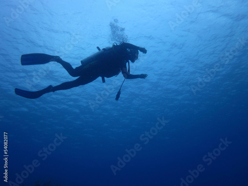 Fototapeta Diver Down
