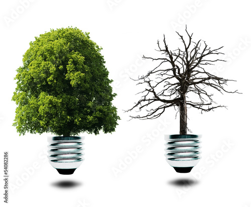 Lampe mit Grünem und Kahlem Baum