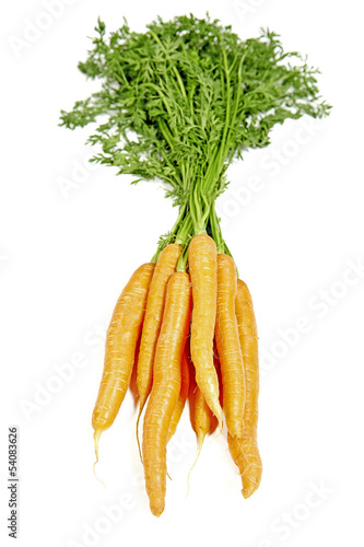 Raw fresh carrots