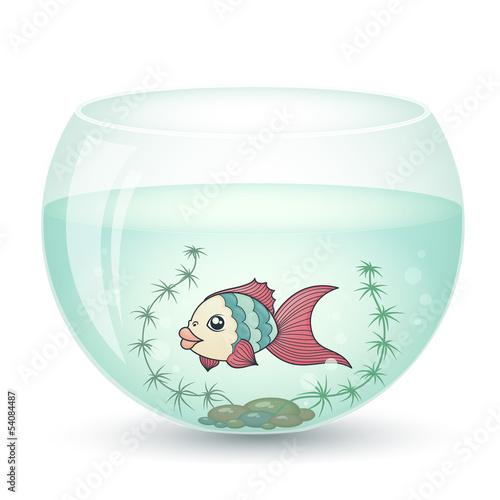 fish in cartoon style