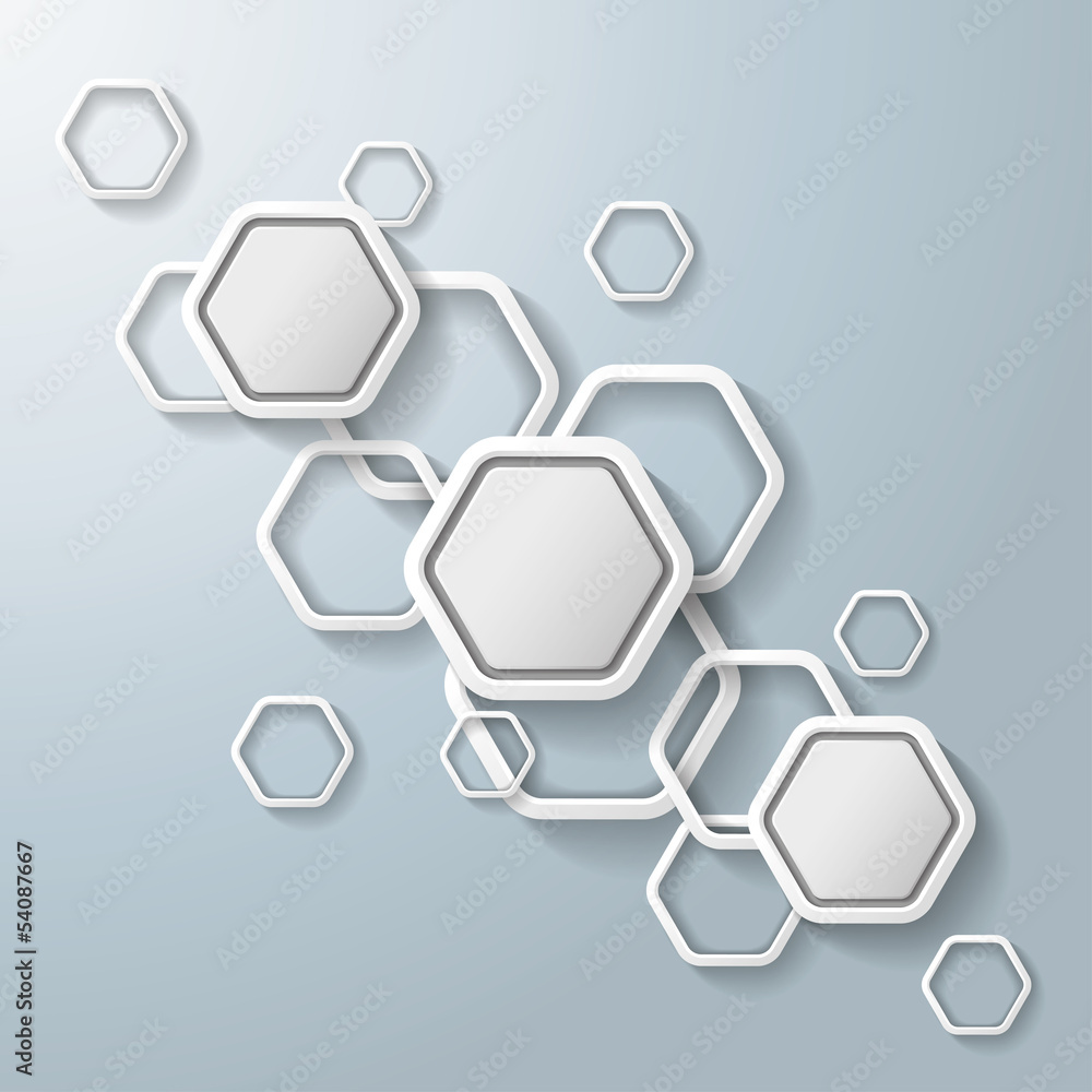 White Hexagons Infographic White Hexagons Infographic