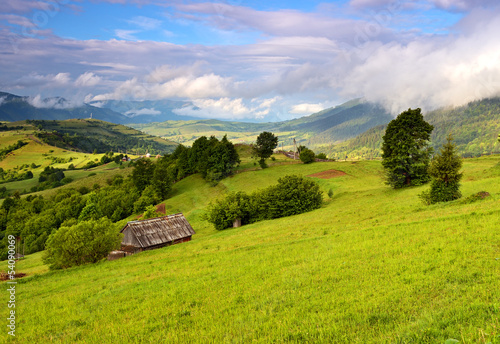 Obraz na płótnie Evening landscape in the mountains. Ukraine. w salonie