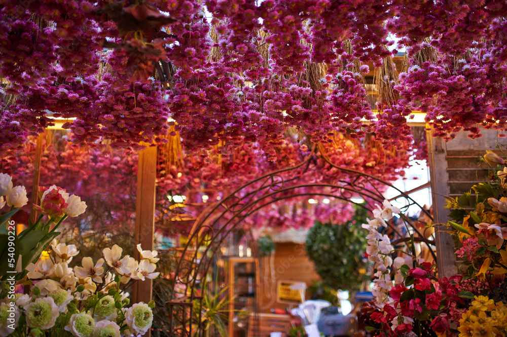 Fototapeta premium Amsterdamski rynek kwiatów