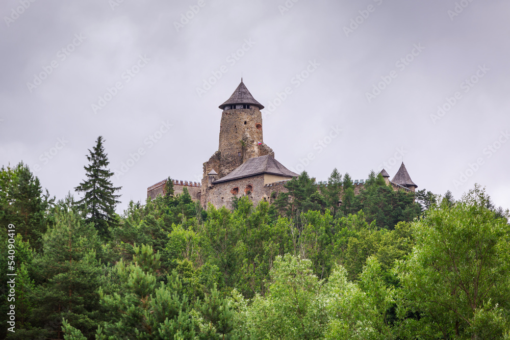 Gothic castle Stara Lubovna in Slovakia