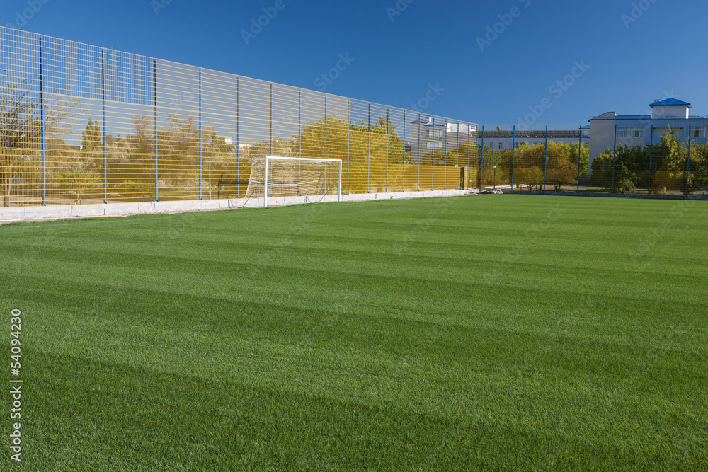 Fototapeta premium soccer field