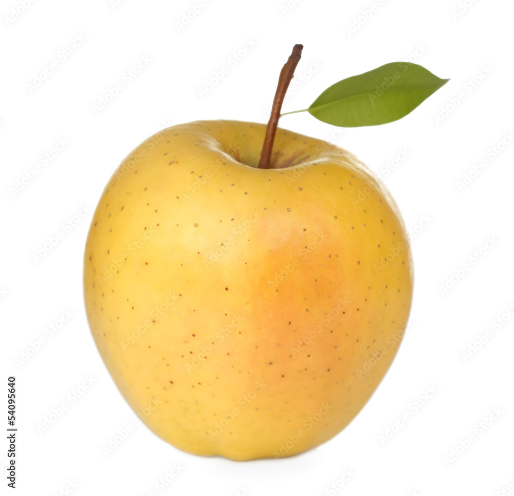 Fototapeta premium Apple white background