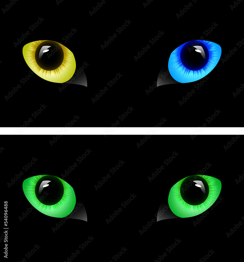 オッドアイとグリーンアイ Stock Vector Adobe Stock オッドアイとグリーンアイ Stock Vector Adobe Stock