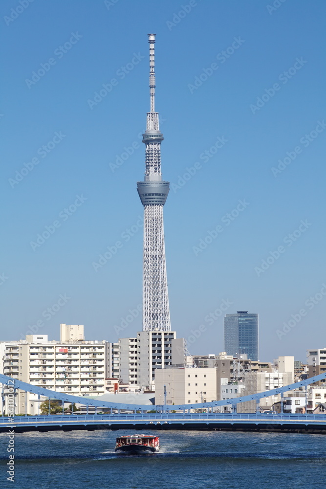 Naklejka premium View of Tokyo Sky Tree