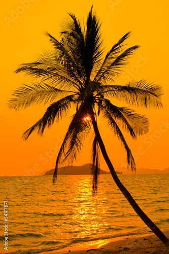 Tropical sunset  Thailand.