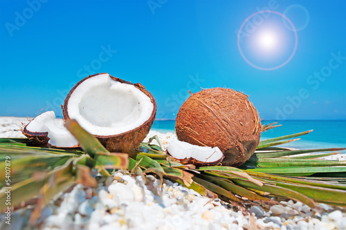 coconuts and sun