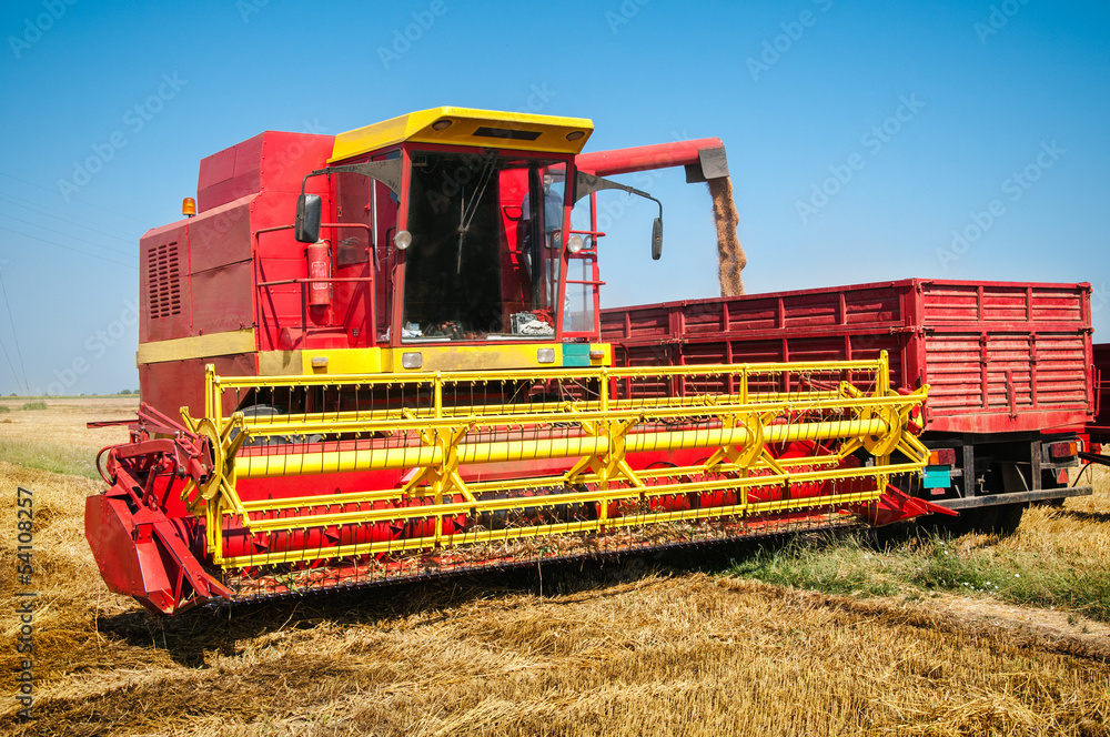Obraz premium Combine harvesting wheat