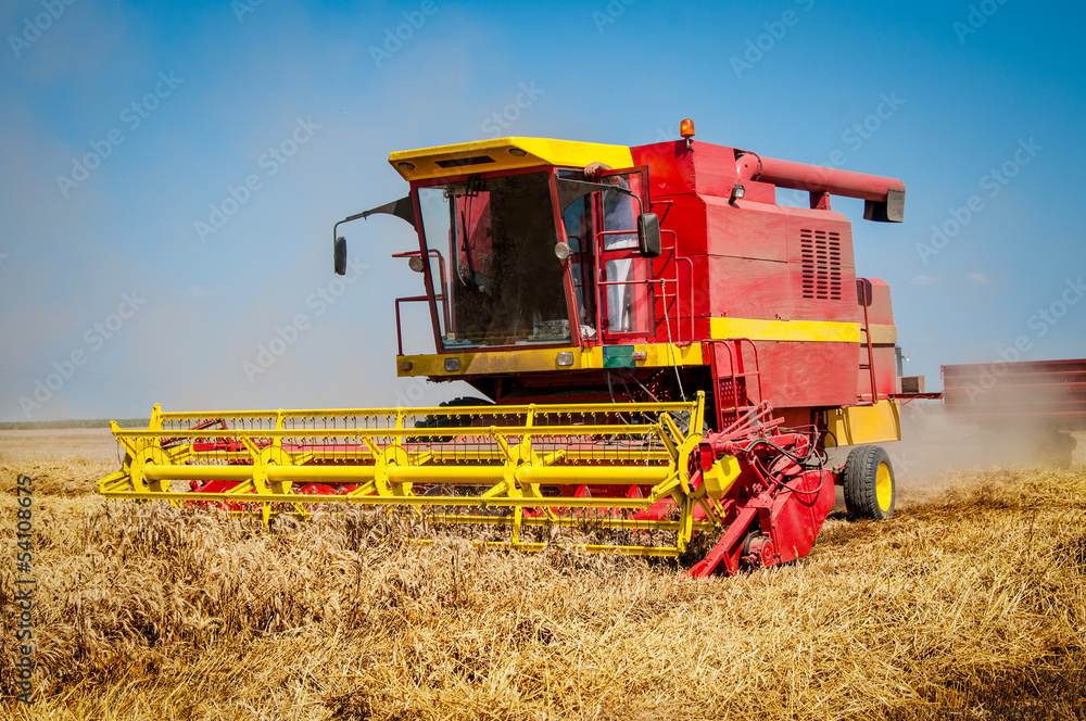 Fototapeta premium Combine harvesting wheat