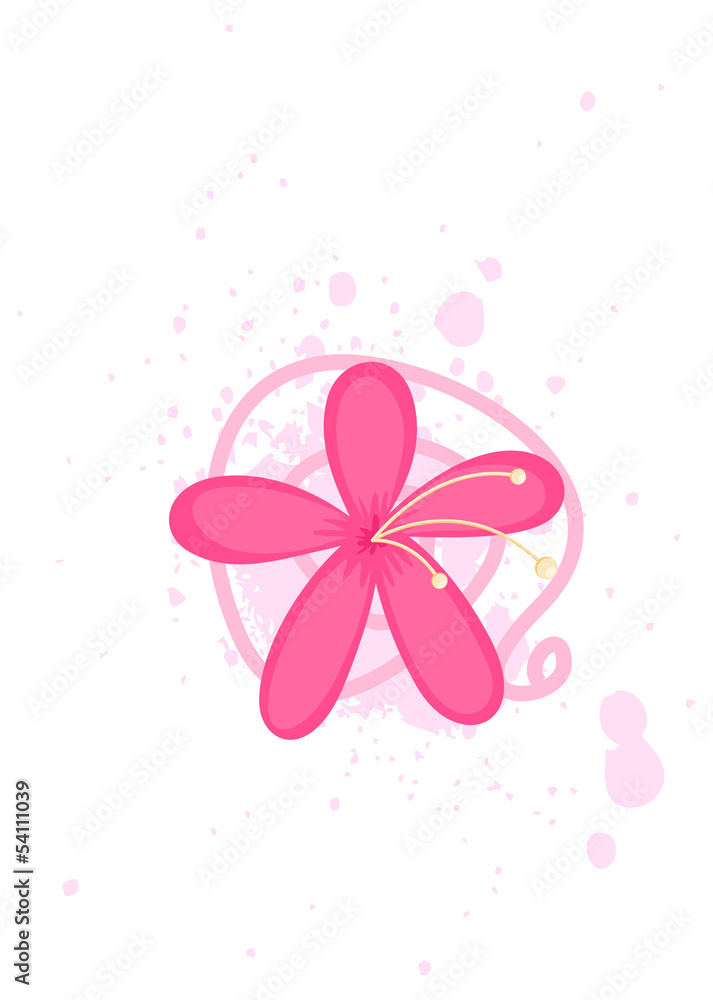 Red Blossom Isolated on Paint Splash Red Blossom Isolated on Paint Splash