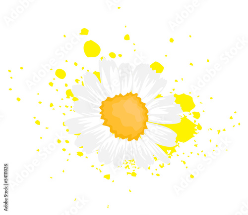 White Flower Isolated on Grunge Splash