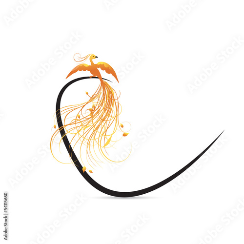 Phénix de feu
