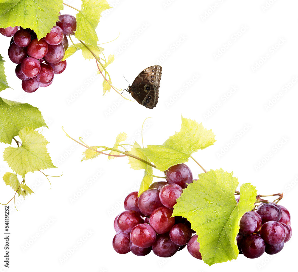 Fototapeta premium Pink grape isolated on white