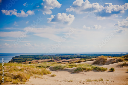Fotografi Grey Dunes - Lithuania