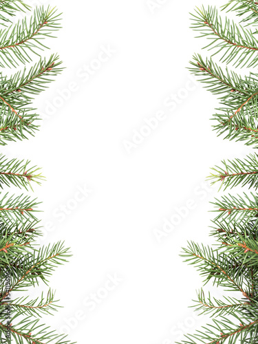 christmas tree twig composition