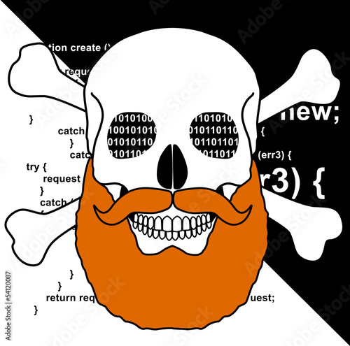 Pirate numérique