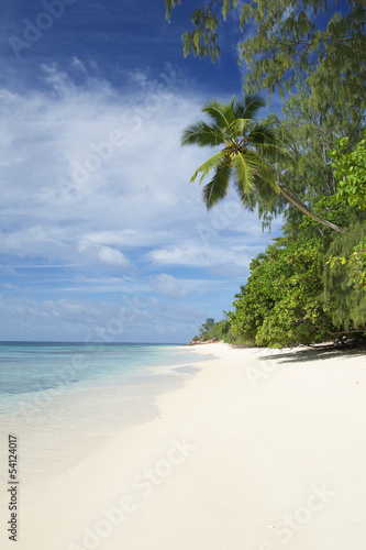 Paradise Beach Seychelles Indian Ocean Palm Tree