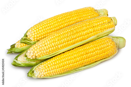 corn ear heap