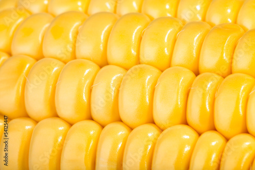 corn kernels macro