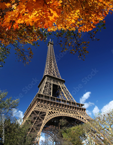 Eiffel Tower with autumn leaves in Paris, France