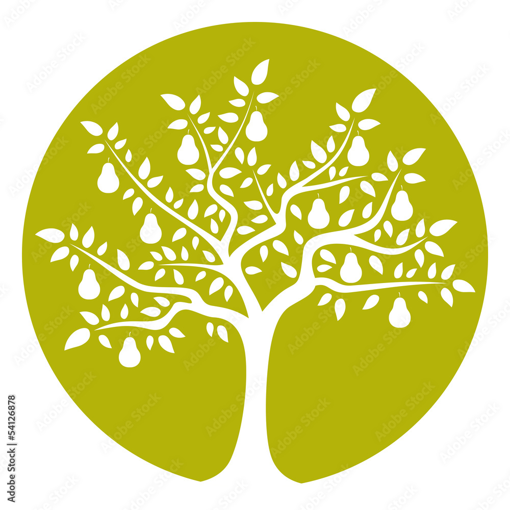 Fototapeta premium pear tree