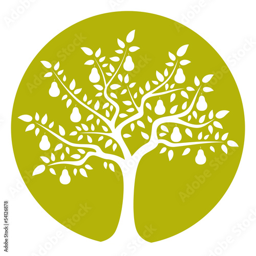 pear tree