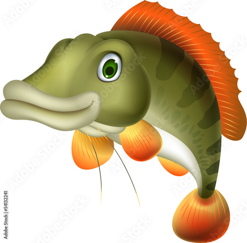 bass fish cartoon