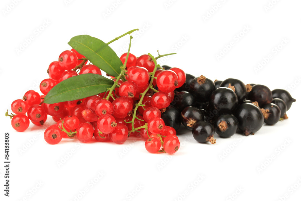Red and black currant isolated on white