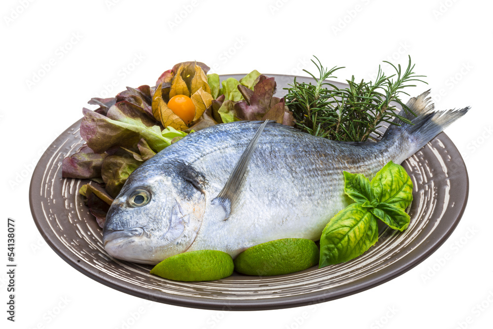 Fresh raw dorada Fresh raw dorada
