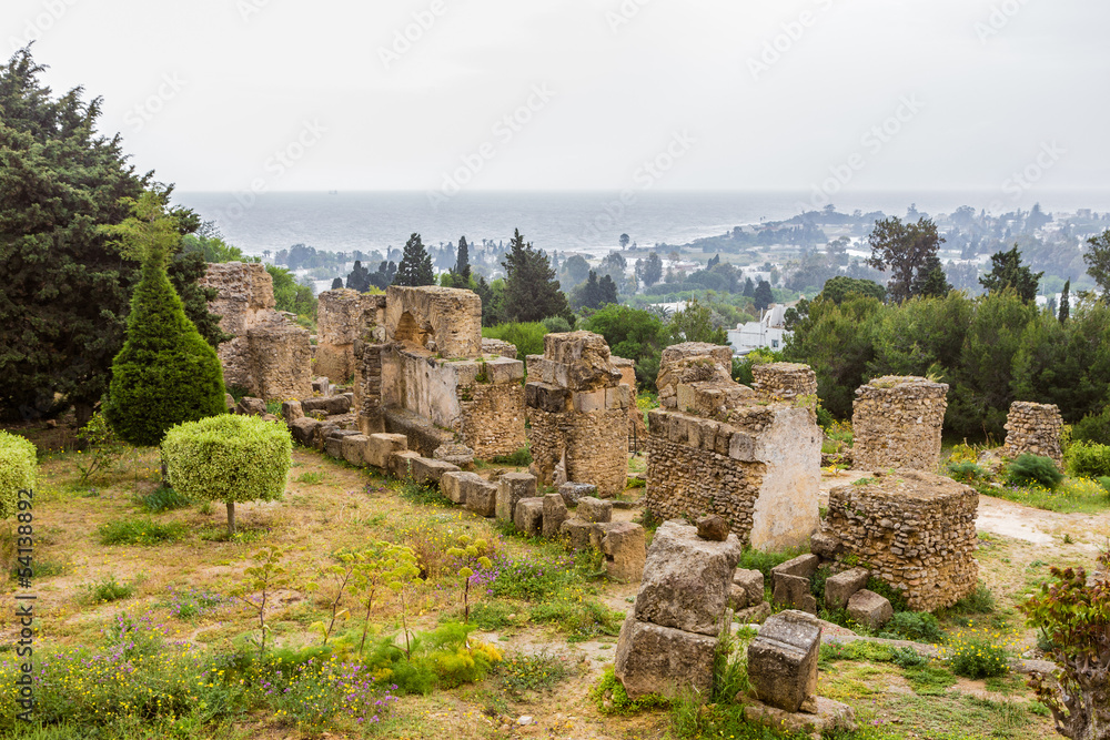 ancient ruins of Carthage, Tunisia ancient ruins of Carthage, Tunisia