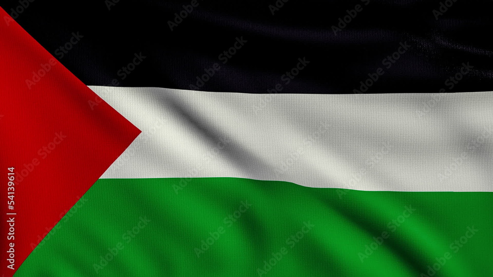 Flag of Palestine looping Flag of Palestine looping