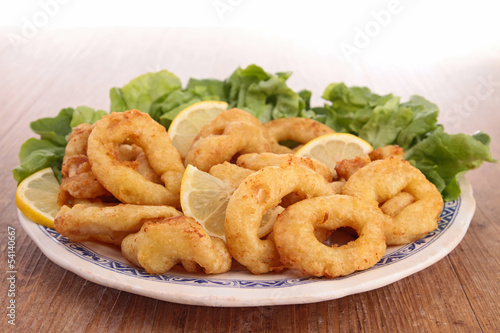 fried calamari and salad
