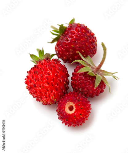 wild strawberries isolated on white background