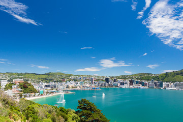 Crédence de cuisine Nouvelle-Zélande Vue panoramique sur Wellington  © mdworschak