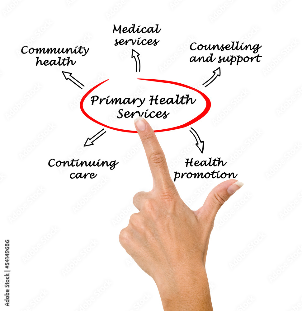 Primary health services Primary health services