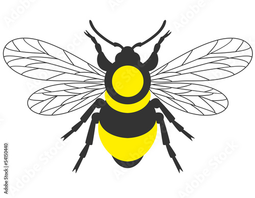 Bumblebee