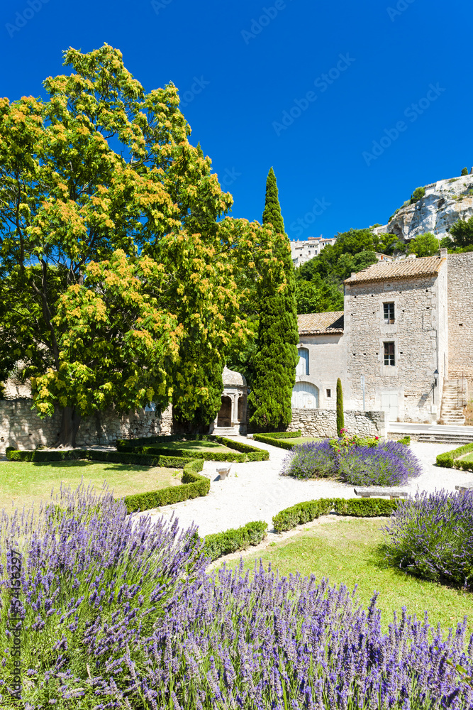 Naklejka premium garden in Les Baux de-Provence, Provence, France