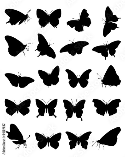 Black silhouettes of butterflies-vector