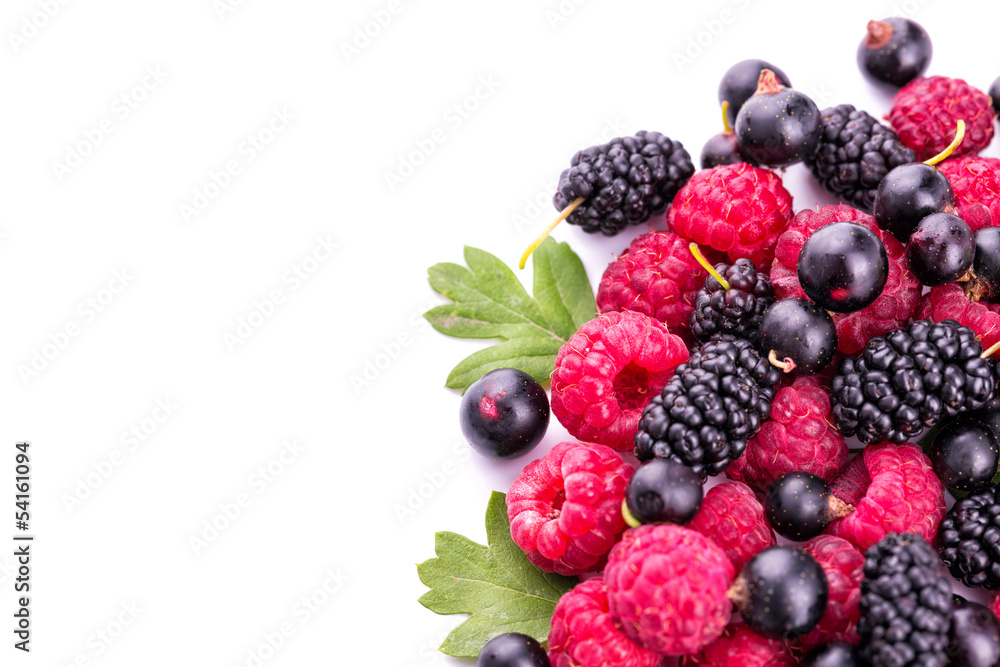 Fresh berries isolated Fresh berries isolated