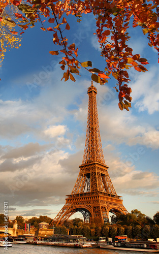 Eiffel Tower with autumn leaves in Paris, France #54161271