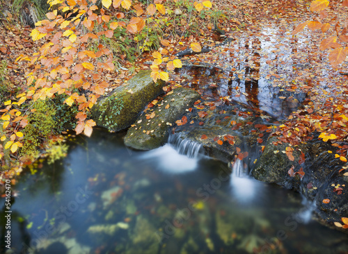 Fototapeta Naklejka Na Ścianę i Meble -  Autumn landscape with fallen leaves and river