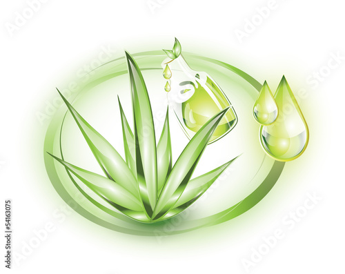 Essential oil from Aloe Vera