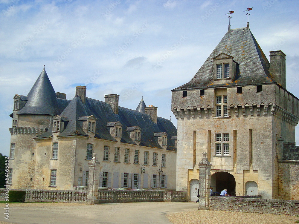 Fototapeta premium Chateau