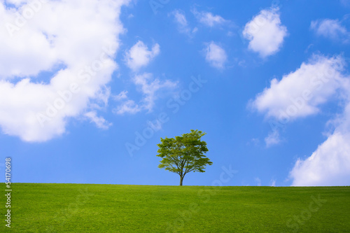 青空と木と草原