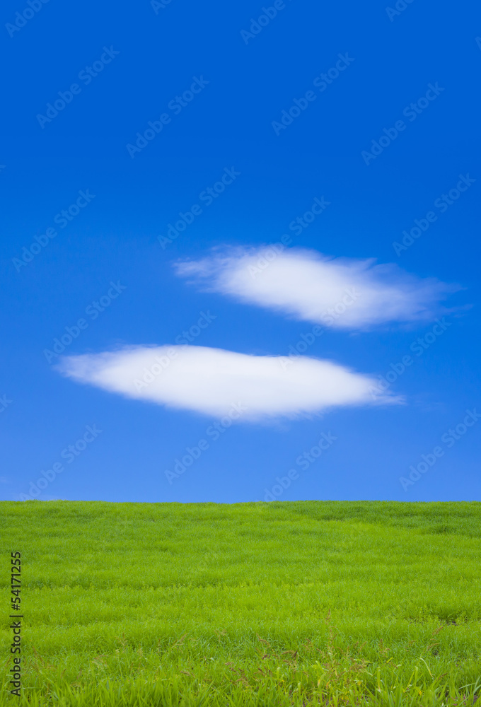 草原と青空 草原と青空