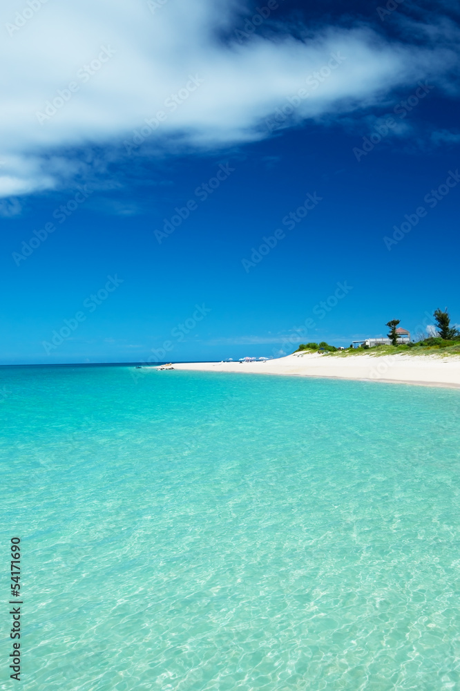 Fototapeta premium 白く輝く前浜ビーチ